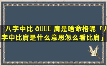 八字中比 🐝 肩是啥命格呢「八字中比肩是什么意思怎么看比肩」